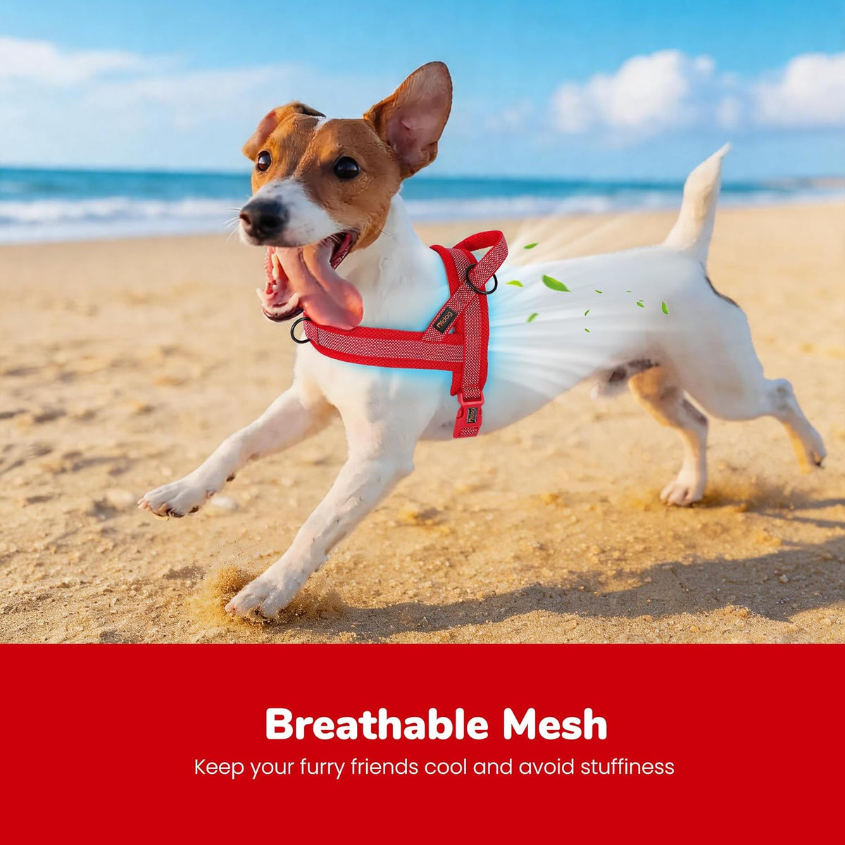 No Pull Dog Harness for Medium Dogs, Breathable Mesh, Hot Pink, M