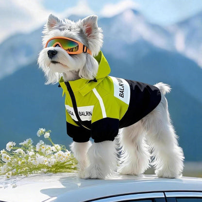 Dog Raincoat, Waterproof Dog Rain Jacket Detachable Hood