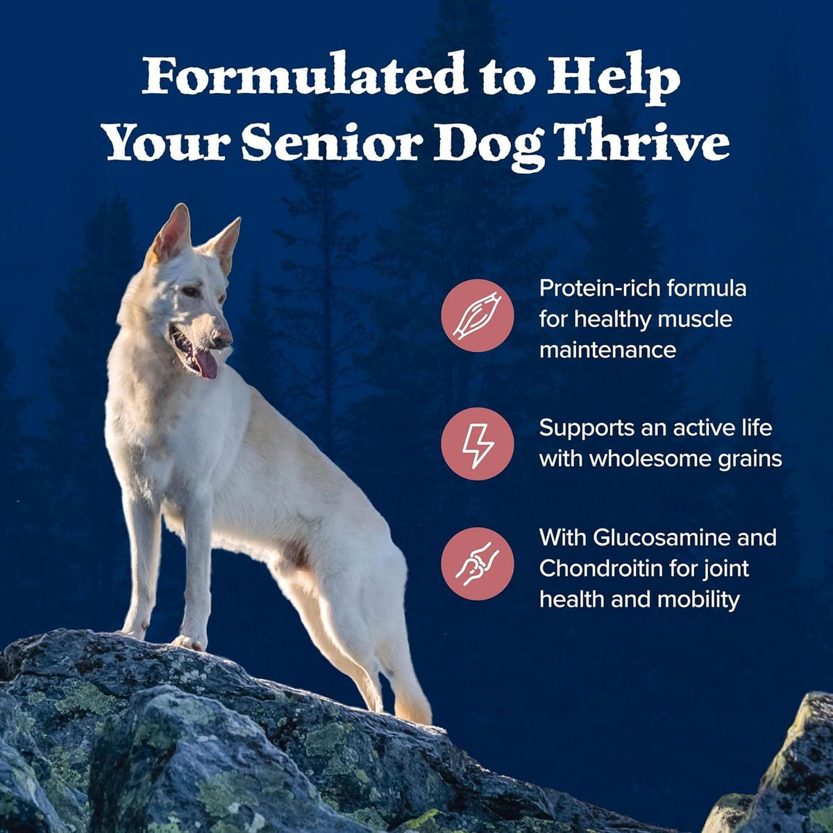 Blue Buffalo Wilderness Chicken & Wholesome Grains Senior Dog Food, 14 lb