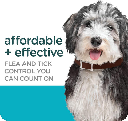 Sergeant's Guardian Flea & Tick Topical Dogs 7-33 lbs, 3-Month