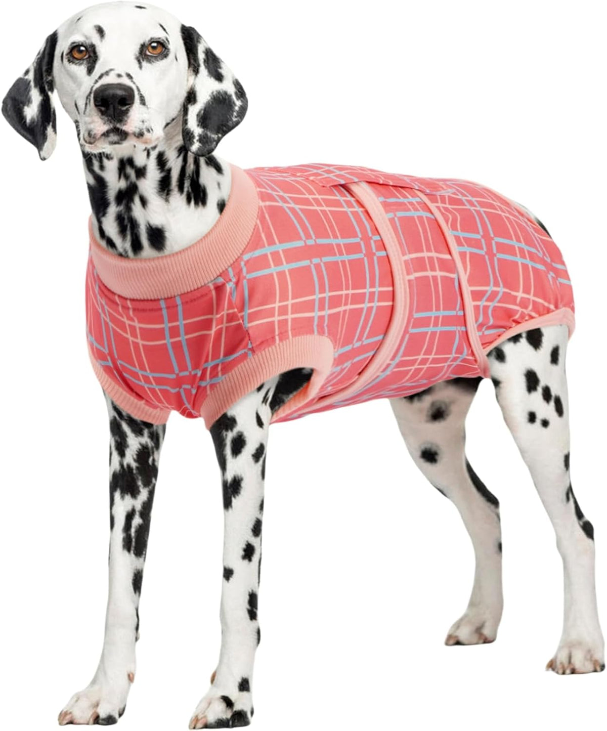 Recovery Suit for Dogs After Surgery, Female Dog Onesie for Surgery