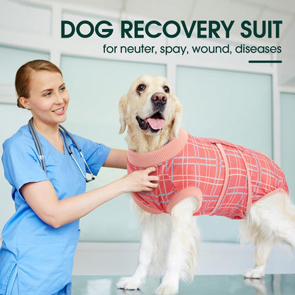 Recovery Suit for Dogs After Surgery, Female Dog Onesie for Surgery