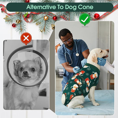 Recovery Suit for Dogs After Surgery, Female Dog Onesie for Surgery
