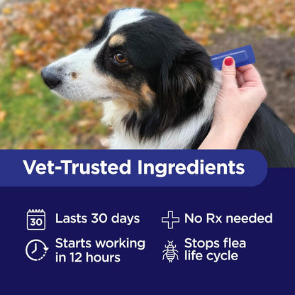 Activate II Flea and Tick Prevention for Extra Large Dogs 55+ lbs