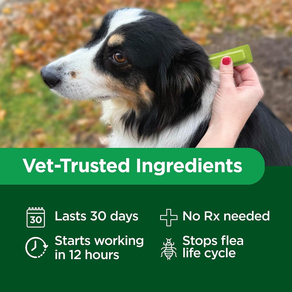 Activate II Flea and Tick Prevention for Extra Large Dogs 55+ lbs
