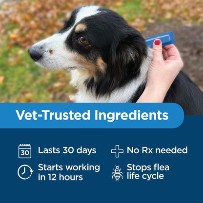 Activate II Flea and Tick Prevention for Extra Large Dogs 55+ lbs