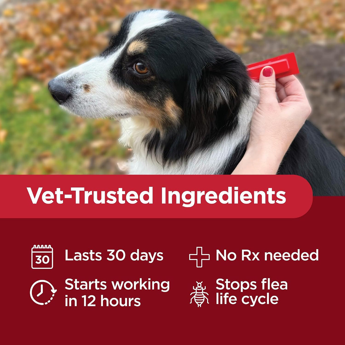 Activate II Flea and Tick Prevention for Extra Large Dogs 55+ lbs