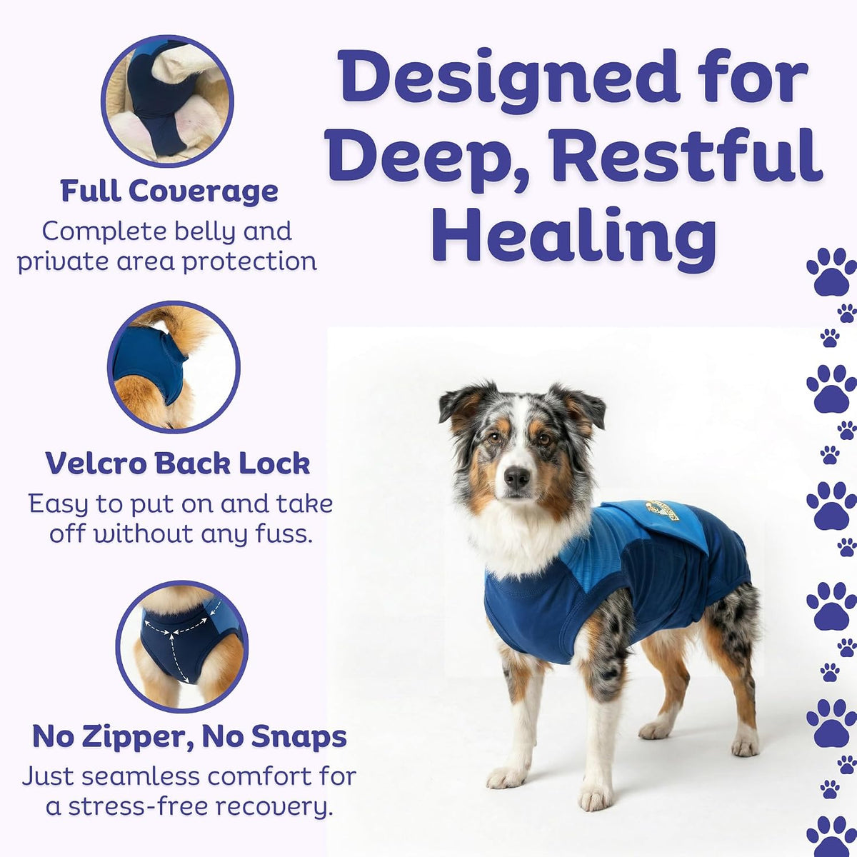 Dog Surgery Recovery Suit, Cone Alternative, Spay/Neuter LL