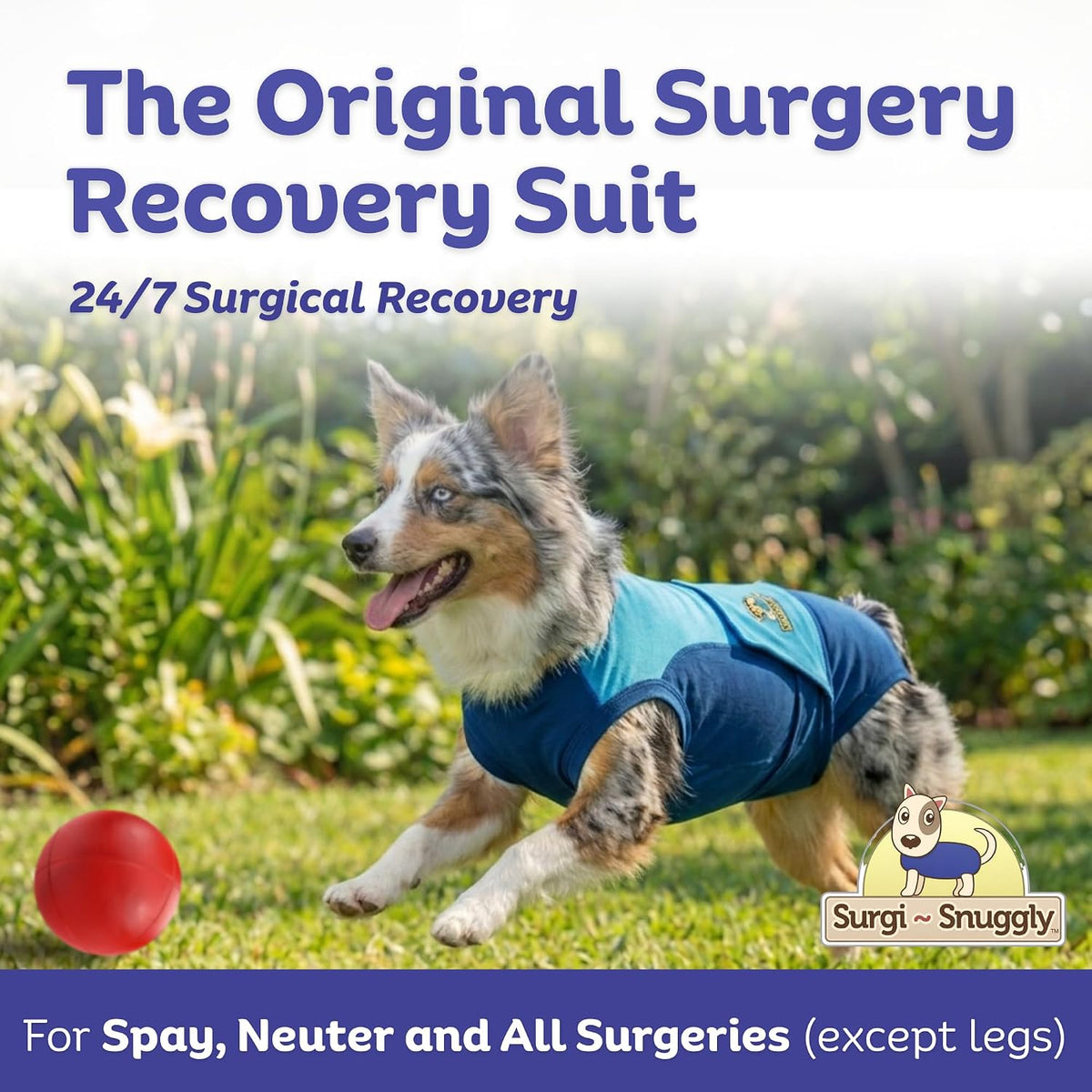 Dog Surgery Recovery Suit, Cone Alternative, Spay/Neuter LL
