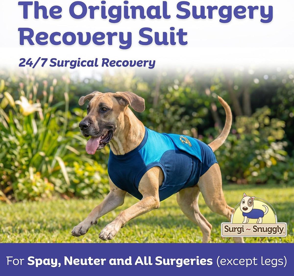 Dog Surgery Recovery Suit, Cone Alternative, Spay/Neuter LL