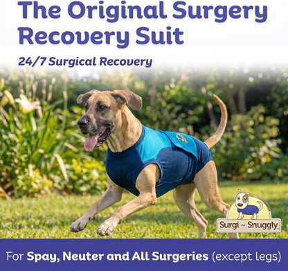 Dog Surgery Recovery Suit, Cone Alternative, Spay/Neuter LL