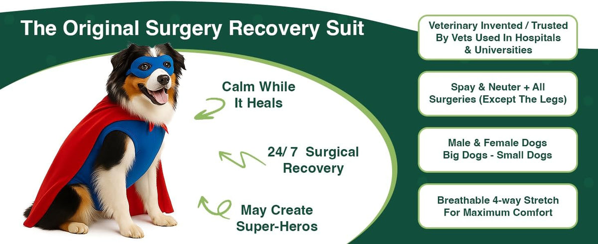 Dog Surgery Recovery Suit, Cone Alternative, Spay/Neuter LL