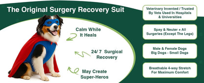 Dog Surgery Recovery Suit, Cone Alternative, Spay/Neuter LL