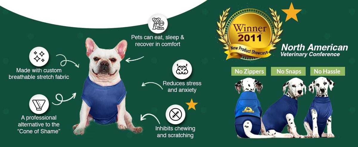 Dog Surgery Recovery Suit, Cone Alternative, Spay/Neuter LL