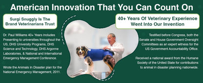 Dog Surgery Recovery Suit, Cone Alternative, Spay/Neuter LL