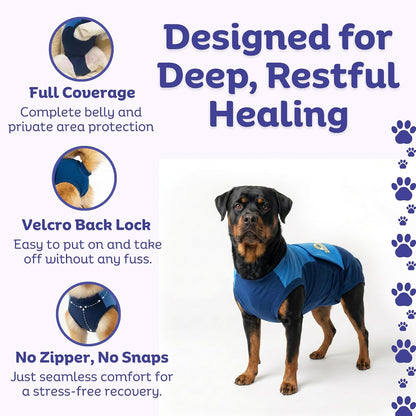 Dog Surgery Recovery Suit, Cone Alternative, Spay/Neuter LL