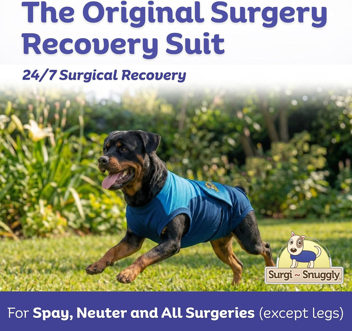 Dog Surgery Recovery Suit, Cone Alternative, Spay/Neuter LL
