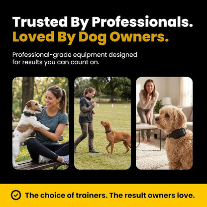 Educator ET-300 Mini E Collar for Dog Training with Remote - 1/2 Mile Range, Waterproof, 100 Blunt Stimulation Levels, Tone or Vibration Mode, Night Light Tracking for Small, Medium & Large Dogs
