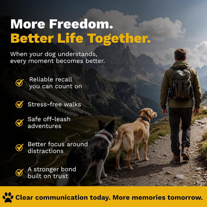 Educator ET-300 Mini E Collar for Dog Training with Remote - 1/2 Mile Range, Waterproof, 100 Blunt Stimulation Levels, Tone or Vibration Mode, Night Light Tracking for Small, Medium & Large Dogs