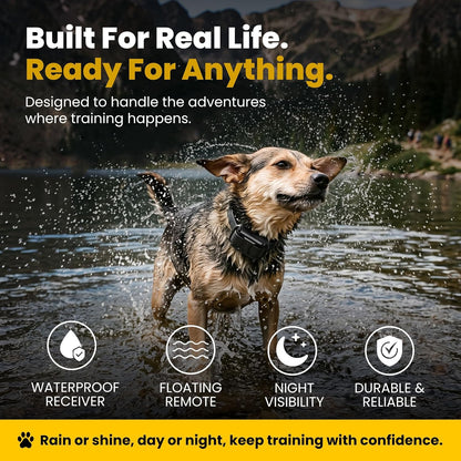 Educator ET-300 Mini E Collar for Dog Training with Remote - 1/2 Mile Range, Waterproof, 100 Blunt Stimulation Levels, Tone or Vibration Mode, Night Light Tracking for Small, Medium & Large Dogs