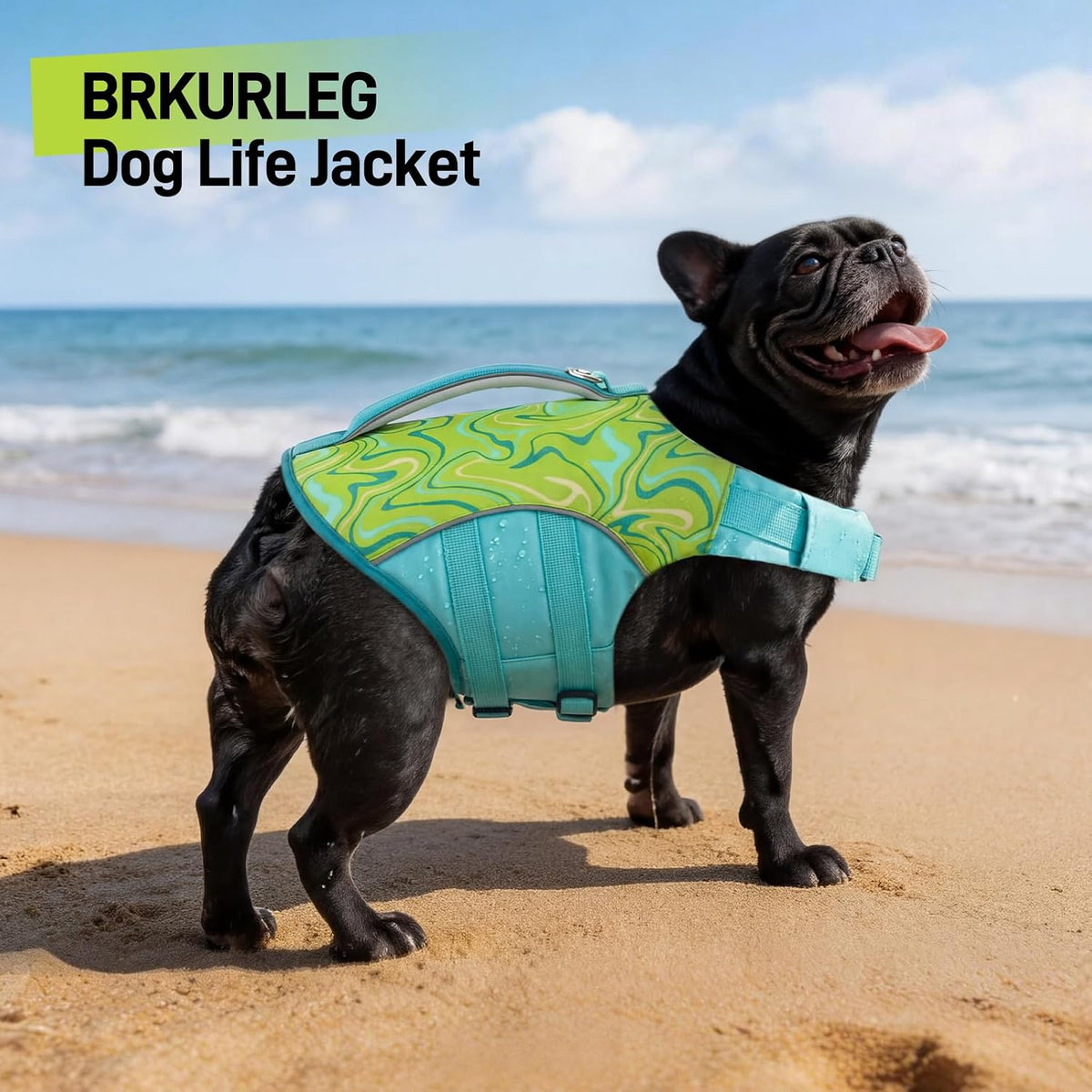 Dog Life Jacket, Dog Life Vest for Swimming & Boating with High Buoyancy & Rescue Handle for Small Medium Large Dogs, Adjustable Reflective Swimming Safety Vest, Green S