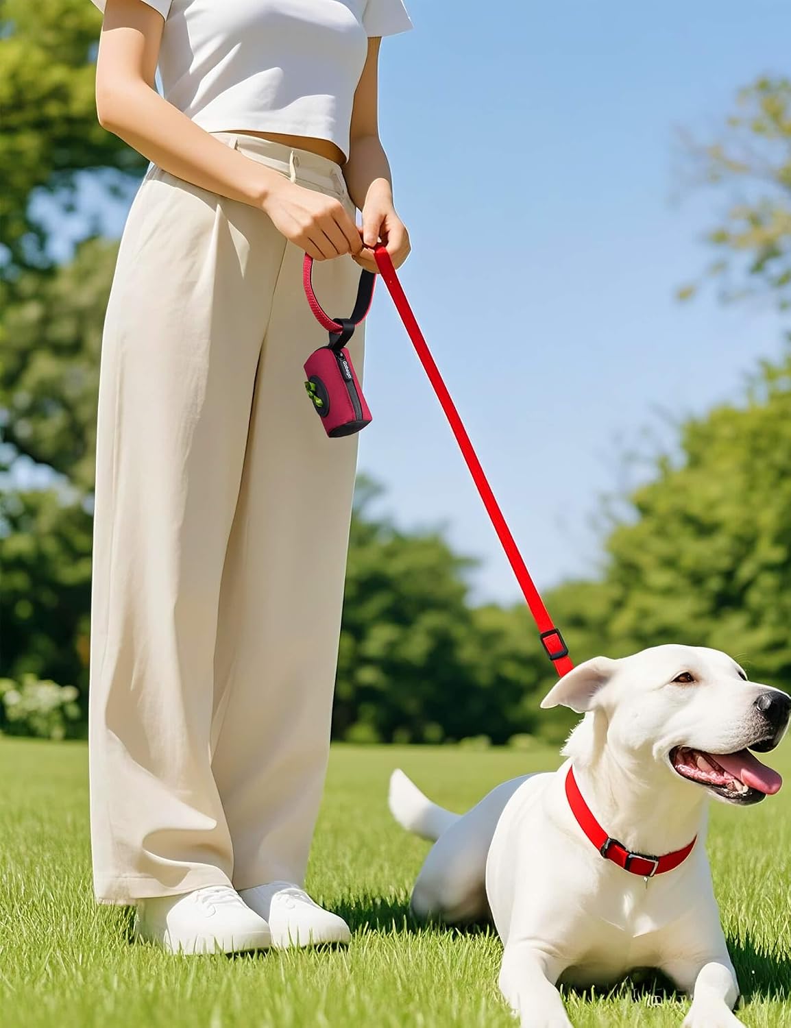 2-in-1 Dog Poop Bag Holder【Easy Pull-Out Version】(Black)
