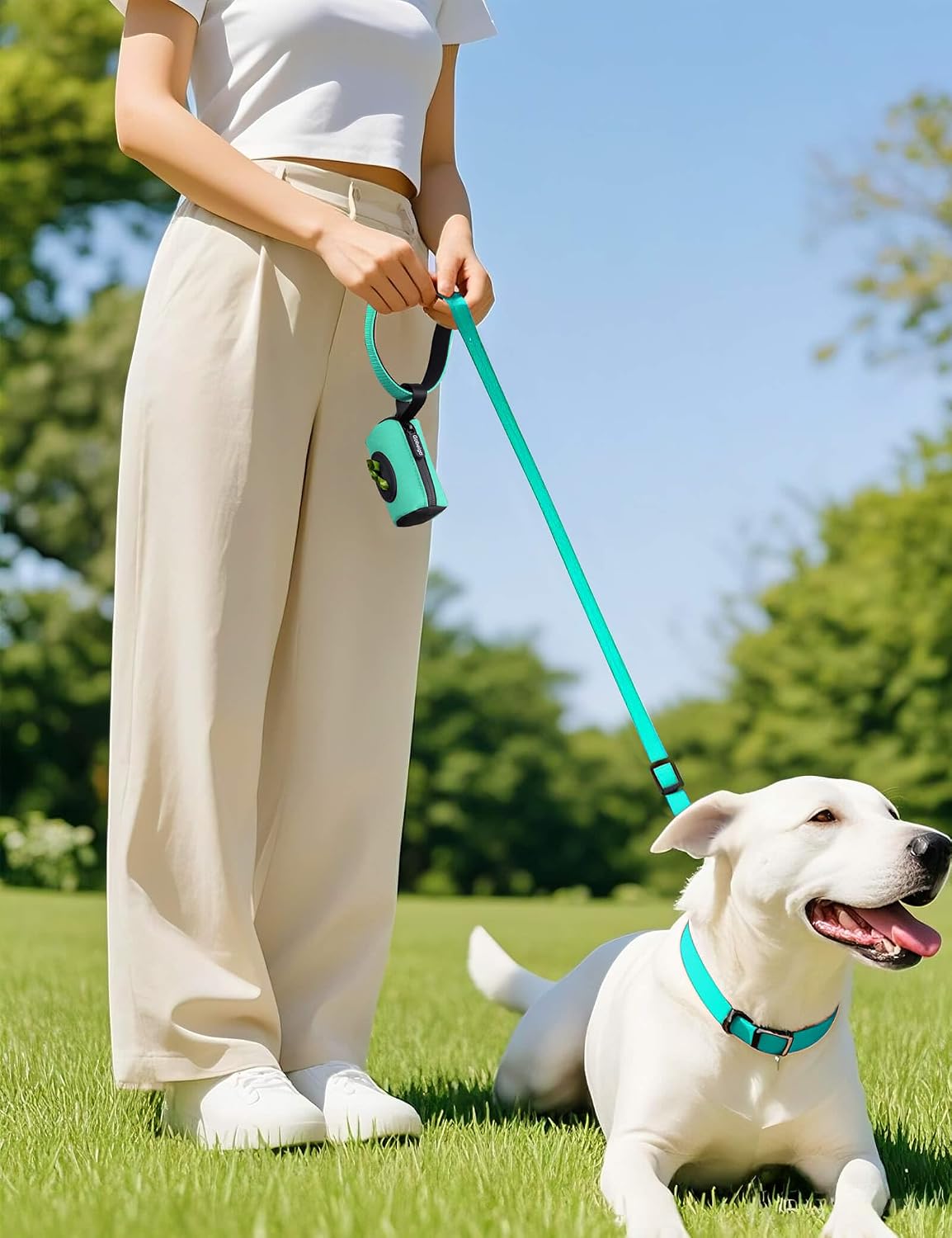 2-in-1 Dog Poop Bag Holder【Easy Pull-Out Version】(Black)