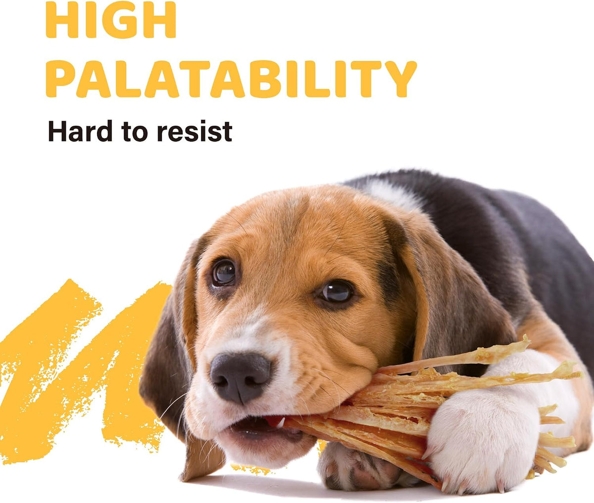 iPaw Turkey Tendon for Dogs, All Natural Human Grade Puppy Chew, Strips