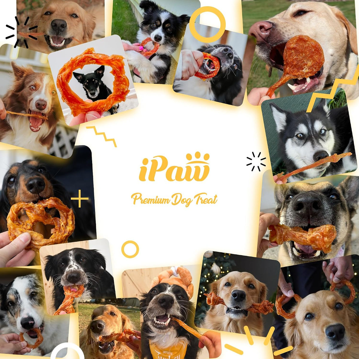 iPaw Turkey Tendon for Dogs, All Natural Human Grade Puppy Chew, Strips