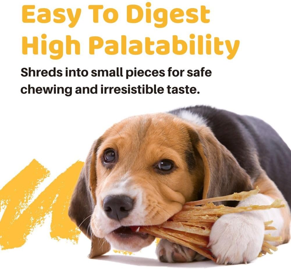 iPaw Turkey Tendon for Dogs, All Natural Human Grade Puppy Chew, Strips