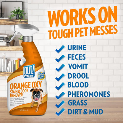 ! PetCare Complete Oxy Stain Remover, Dog Stain Carpet Cleaner, 32oz