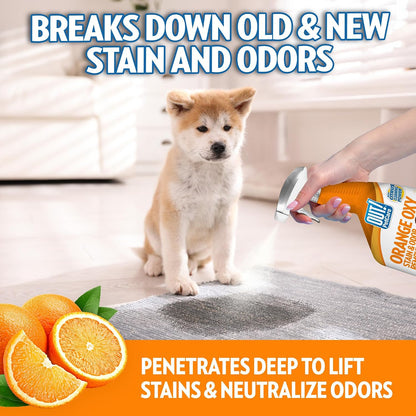 ! PetCare Complete Oxy Stain Remover, Dog Stain Carpet Cleaner, 32oz