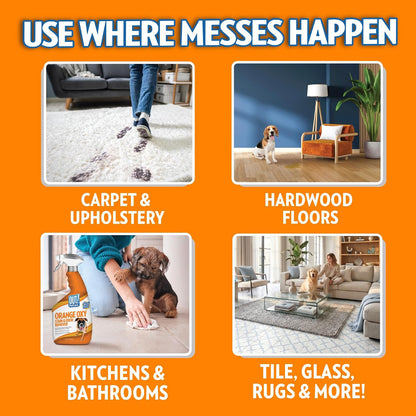 ! PetCare Complete Oxy Stain Remover, Dog Stain Carpet Cleaner, 32oz