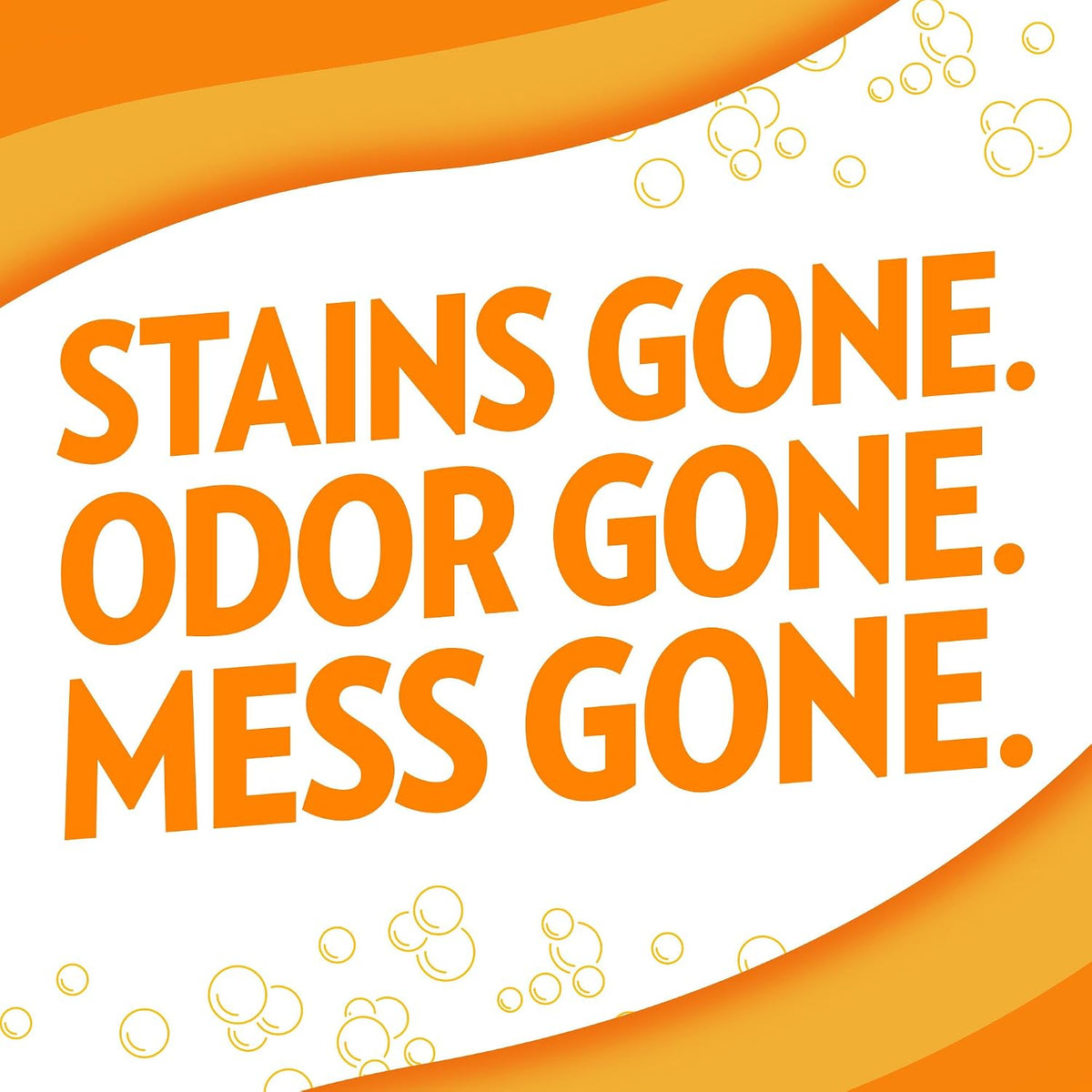! PetCare Complete Oxy Stain Remover, Dog Stain Carpet Cleaner, 32oz