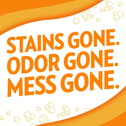 ! PetCare Complete Oxy Stain Remover, Dog Stain Carpet Cleaner, 32oz