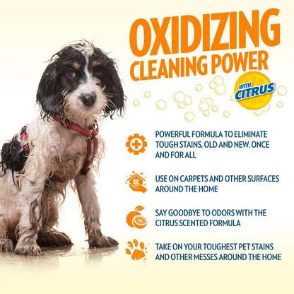 ! PetCare Complete Oxy Stain Remover, Dog Stain Carpet Cleaner, 32oz
