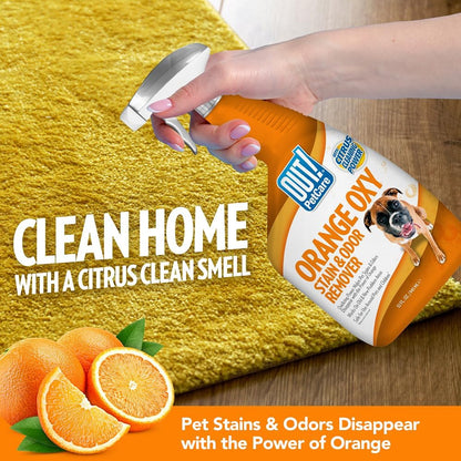 ! PetCare Complete Oxy Stain Remover, Dog Stain Carpet Cleaner, 32oz