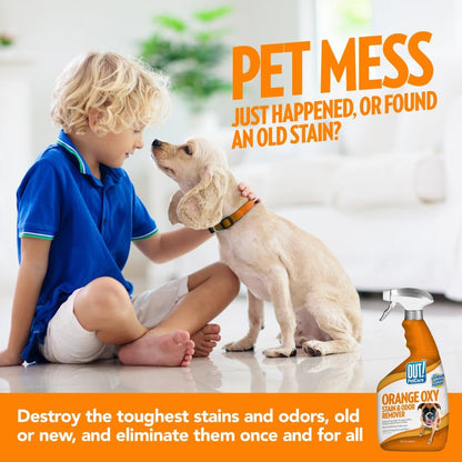 ! PetCare Complete Oxy Stain Remover, Dog Stain Carpet Cleaner, 32oz