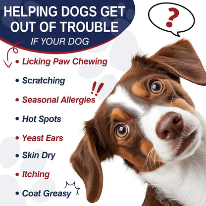 Dog Allergy Chews 200 Treats, Dog Allergy and Itching Skin Relief Bites Itchy Skin and Itchy Ears Anti Itch Licking Paws Treatment for Dogs Seasonal Allergies