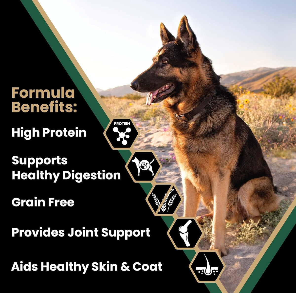 Purpose Grain Free Hero Canine Dry Kibble - Active Adult Dogs, 5 lb