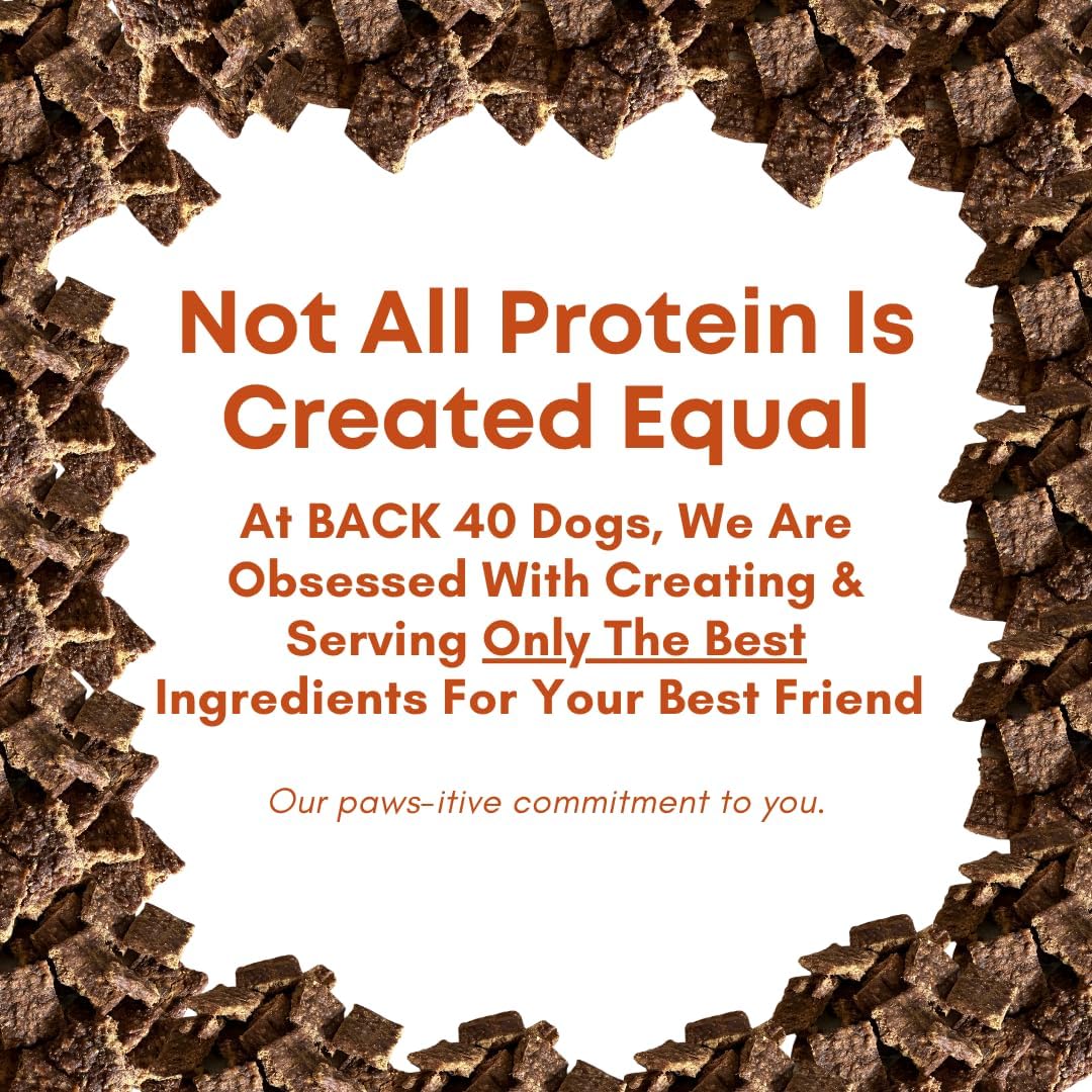 Beef Bites - All Natural Premium Air Dried Dog Training Treats - Free Range Beef, Real Meat - High Protein Food Toppers & Dog Treat - Puppy Essentials, Made in USA - 16oz
