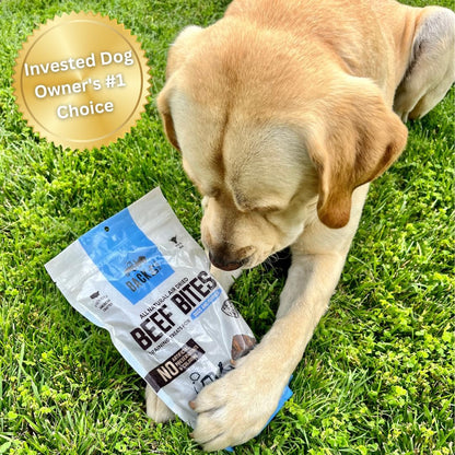 Beef Bites - All Natural Premium Air Dried Dog Training Treats - Free Range Beef, Real Meat - High Protein Food Toppers & Dog Treat - Puppy Essentials, Made in USA - 16oz