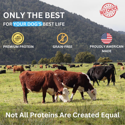 Beef Bites - All Natural Premium Air Dried Dog Training Treats - Free Range Beef, Real Meat - High Protein Food Toppers & Dog Treat - Puppy Essentials, Made in USA - 16oz