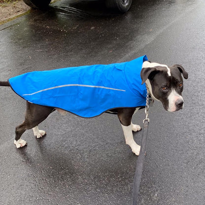 Dog Raincoat, Adjustable Waterproof Reflective Rain Jacket for Small Medium Large Dogs, Lightweight Breathable Pet Rain Coat with Leash Hole(Blue,M Chest 26-32")
