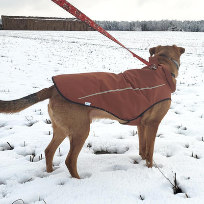 Dog Raincoat, Adjustable Waterproof Reflective Rain Jacket for Small Medium Large Dogs, Lightweight Breathable Pet Rain Coat with Leash Hole(Blue,M Chest 26-32")