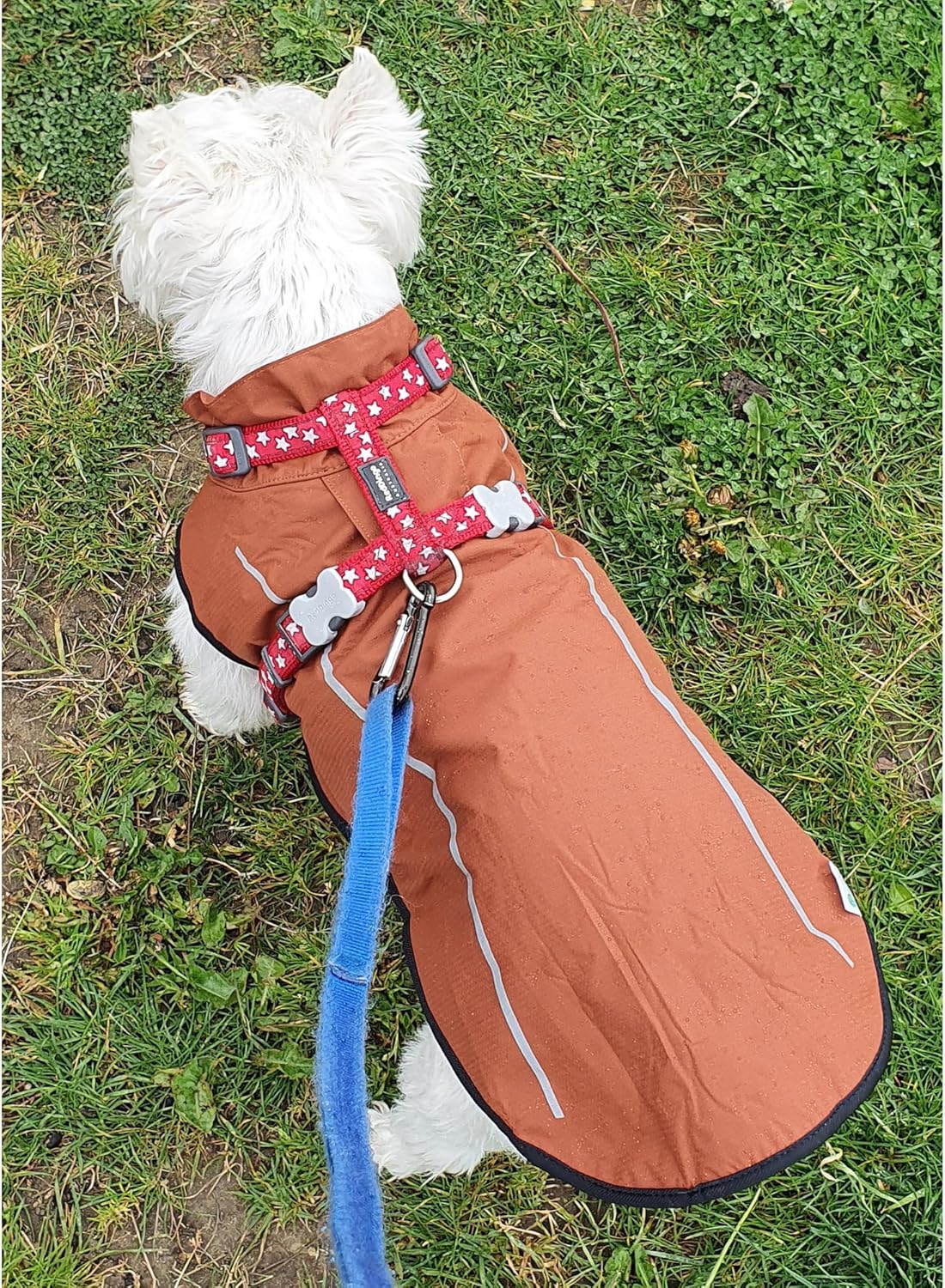 Dog Raincoat, Adjustable Waterproof Reflective Rain Jacket for Small Medium Large Dogs, Lightweight Breathable Pet Rain Coat with Leash Hole(Blue,M Chest 26-32")