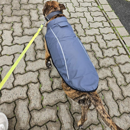 Dog Raincoat, Adjustable Waterproof Reflective Rain Jacket for Small Medium Large Dogs, Lightweight Breathable Pet Rain Coat with Leash Hole(Blue,M Chest 26-32")