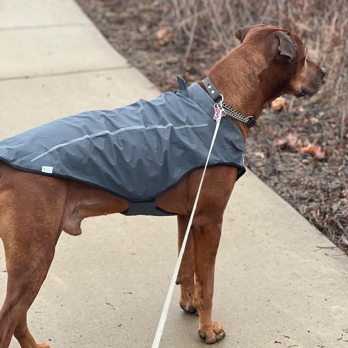 Dog Raincoat, Adjustable Waterproof Reflective Rain Jacket for Small Medium Large Dogs, Lightweight Breathable Pet Rain Coat with Leash Hole(Blue,M Chest 26-32")