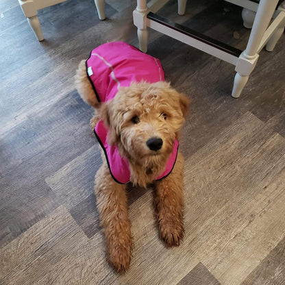 Dog Raincoat, Adjustable Waterproof Reflective Rain Jacket for Small Medium Large Dogs, Lightweight Breathable Pet Rain Coat with Leash Hole(Blue,M Chest 26-32")