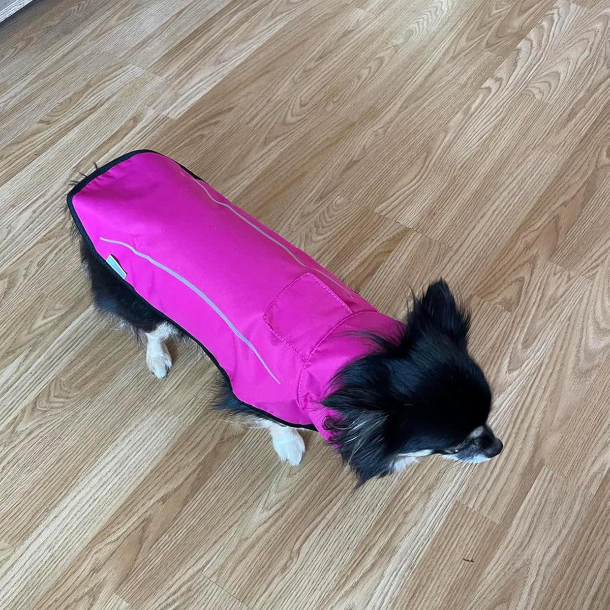 Dog Raincoat, Adjustable Waterproof Reflective Rain Jacket for Small Medium Large Dogs, Lightweight Breathable Pet Rain Coat with Leash Hole(Blue,M Chest 26-32")